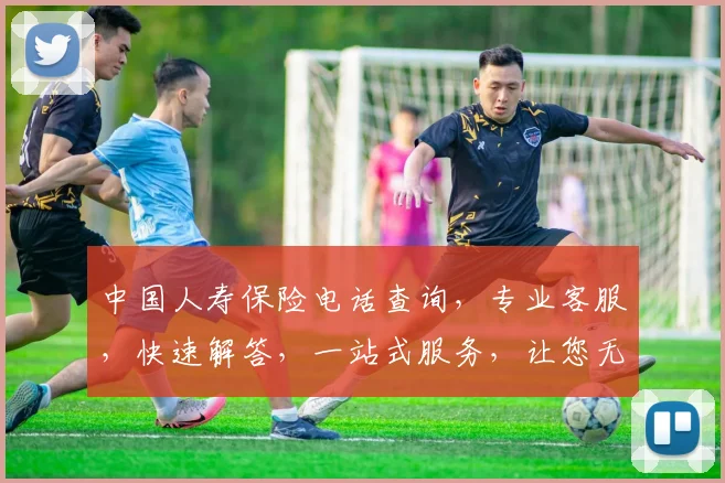 中国人寿保险电话查询，专业客服，快速解答，一站式服务，让您无忧选择